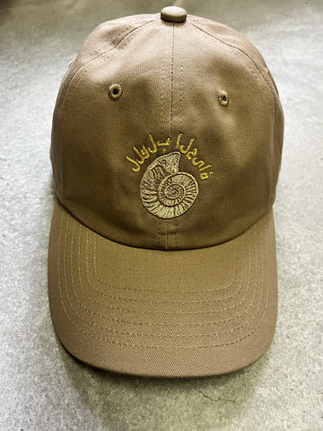 CAP : ANMONITE